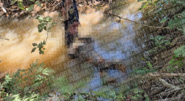 https://cdn.hnt.com.br/storage/webdisco/2026/07/17/370x278/087aca7e07a17d30a487dd1d33432bb3-hnt-com-br.png