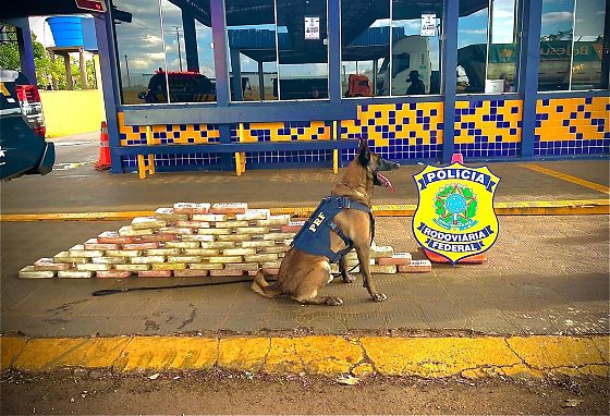 apreensão de 70 kg de cocaína na BR-364