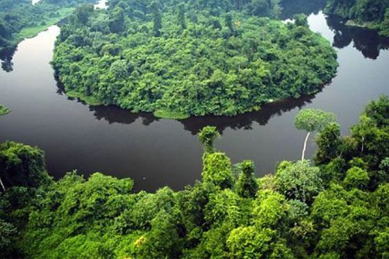 Parque Cristalino II