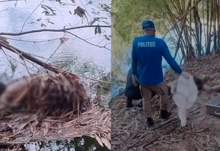 Corpo encontrado no rio coxipó no contorno leste