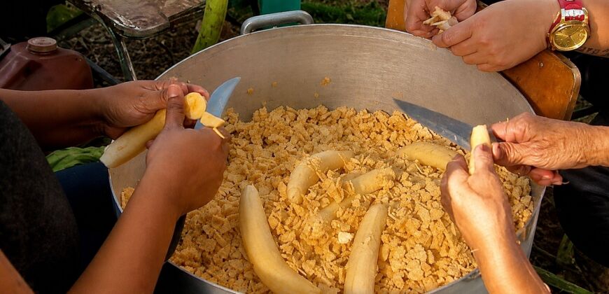 festa da banana - Nossa Senhora do Livramento