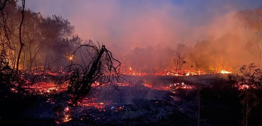 queimadas em Mato Grosso 