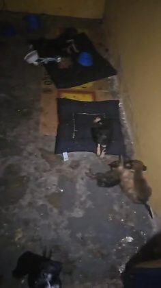 SaveClip.App_755374155_18617939206011403_5514052940912871594_n.jpg
