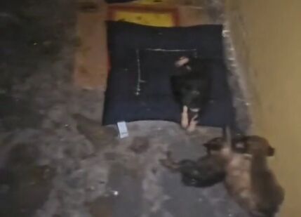 SaveClip.App_755374155_18617939206011403_5514052940912871594_n.jpg