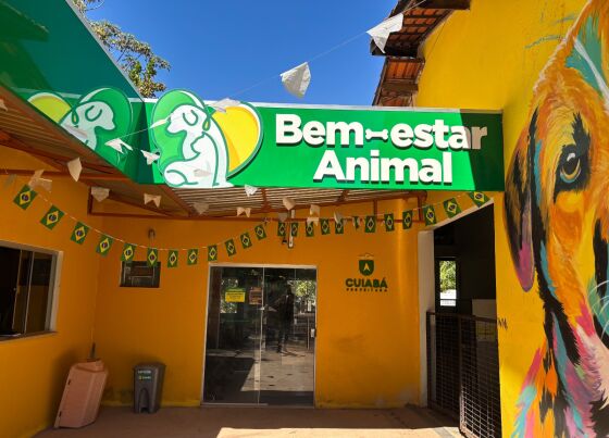 Bem-Estar Animal