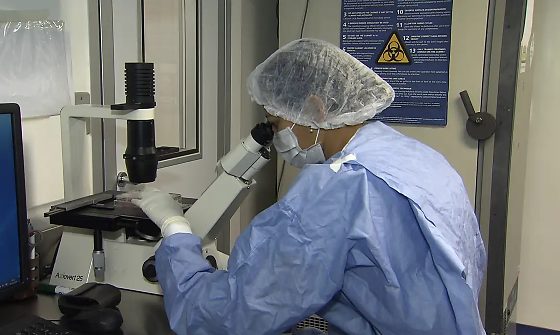 cientistas, laboratório