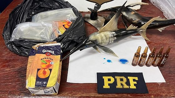 fentanil e cocaína em escultura de peixe