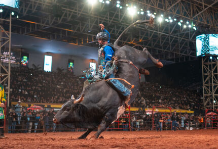 Professional Bull Riders (PBR)