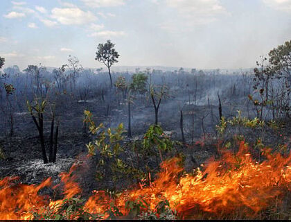 Incêndio Cerrado