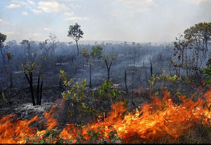 Incêndio Cerrado