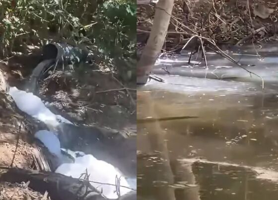Pescador grava despejo de esgoto no Rio Cuiabá próximo a captação de água; DAE nega contaminação 