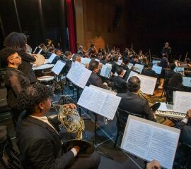 concerto muscial