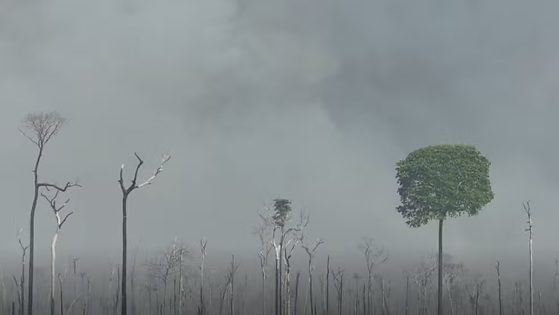incêndio e fumaça