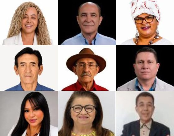 Chapa Federais Rede Psol