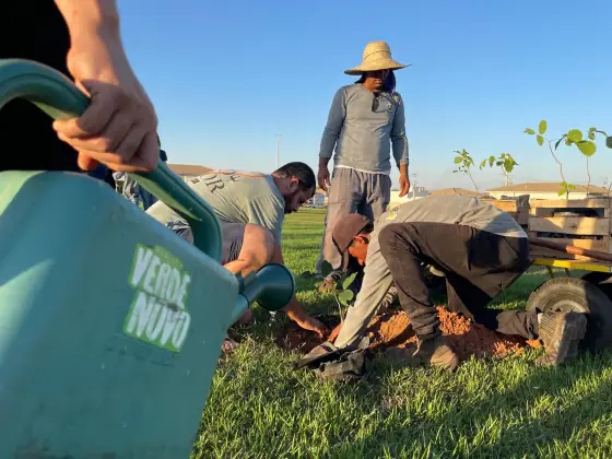 Programa Verde Novo