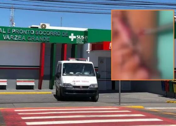Larvas no ferimento PSVG
