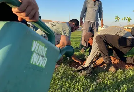 Programa Verde Novo