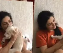 cachorro de Letícia Sabatella