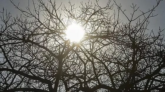 Sol, tempo seco