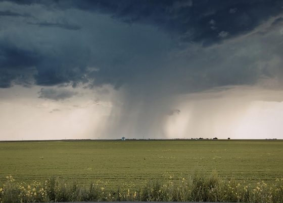 El Niño