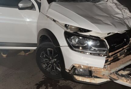 Funcionário de concessionária é atropelado ao retirar animais da pista
