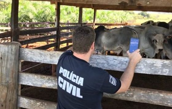 Operação Mahyas