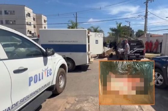 Recém Nascida encontrada em lixeira em VG 
