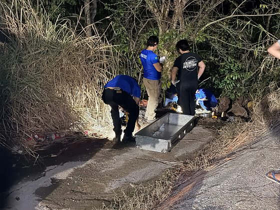 Corpo de Idoso encontrado sem roupas em área de mata em VG