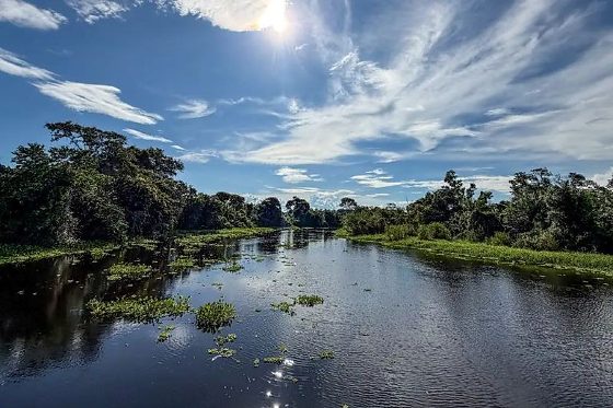 Pantanal