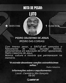 https://cdn.hnt.com.br/storage/webdisco/2026/09/01/370x278/1f0322b8a72c7de1b8b1eaf14262f21d-hnt-com-br.jpg