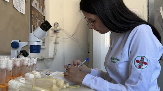 pesquisa científica com moscas UFMT