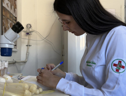 pesquisa científica com moscas UFMT 