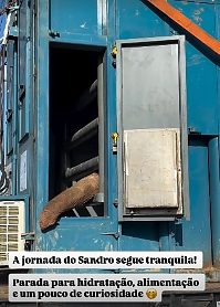 https://cdn.hnt.com.br/storage/webdisco/2026/09/17/370x278/24e8f51ee1498327e0a97063081e70c1-hnt-com-br.jpg