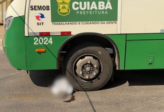ATROPELAMENTO PEDREGAL