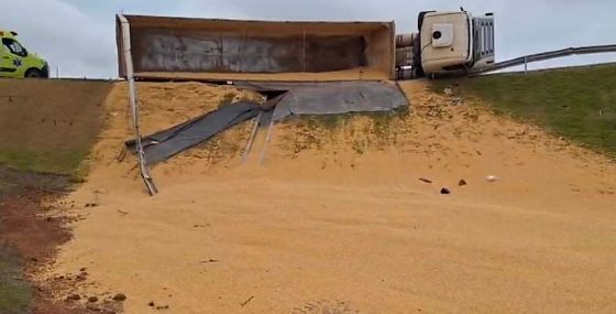 Carreta carregada com milho tomba em viaduto da BR-163 e interdita rodovia