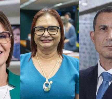 DEPUTADOS FEDERAL