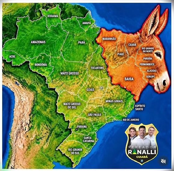 Rafael Ranalli burro