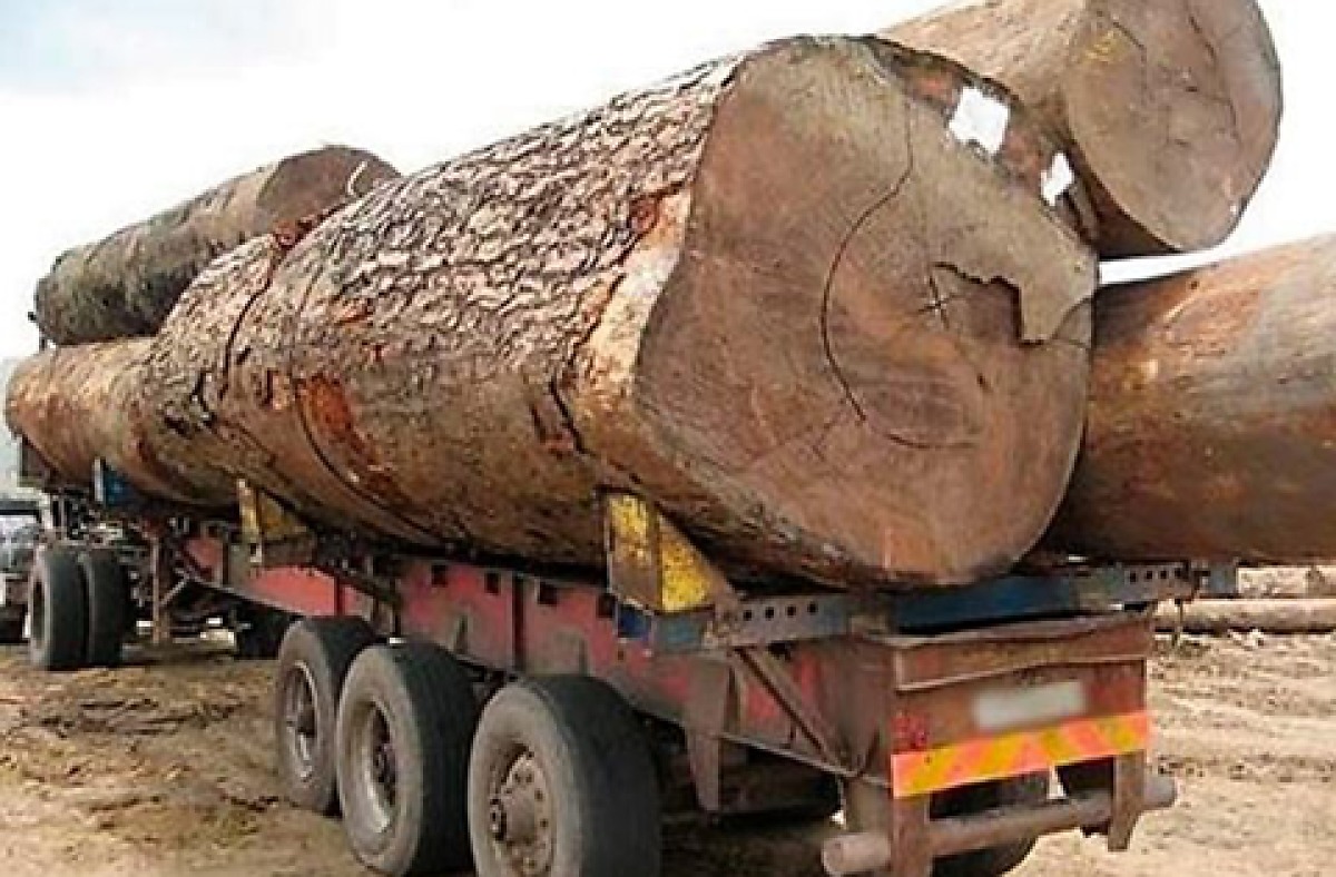 Indenização por morte de trabalhador em Nova Canaã do Norte sobe para R$ 500 mil