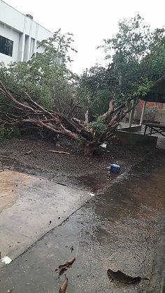 vendaval
