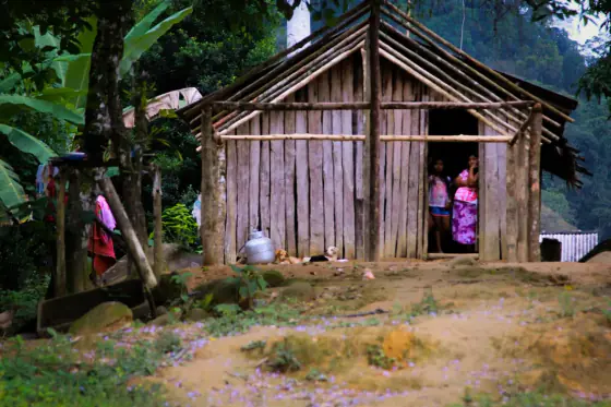 comunidade indígena Guarani de Bracuí