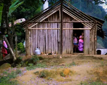 comunidade indígena Guarani de Bracuí