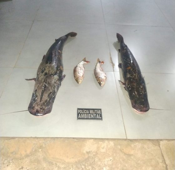 Dois homens fogem ao ver a polícia e abandonam 27 kg de peixe no Rio Vermelho
