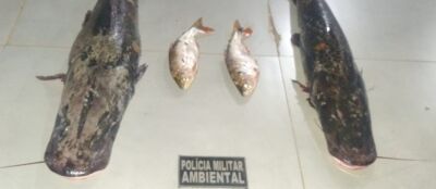 Dois homens fogem ao ver a polícia e abandonam 27 kg de peixe no Rio Vermelho