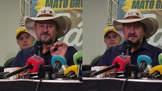 GILBERTO CATTANI