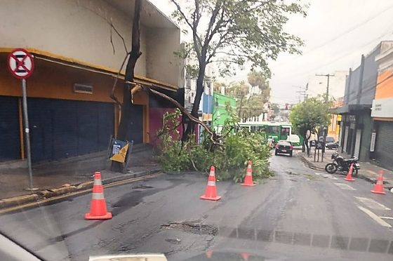 Temporal na madrugada provoca transtornos e mais de 20 bairros sem energia em Cuiabá e V