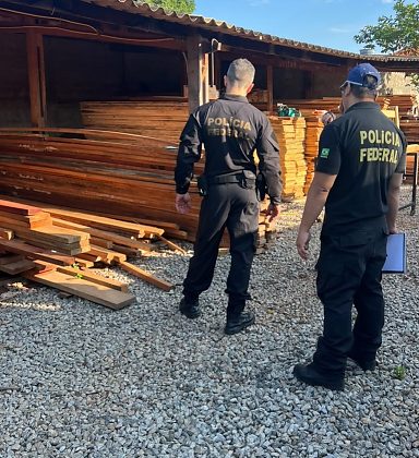 operaçao jatoba ilegal policia federal