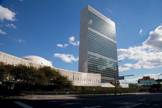 Organização das Nações Unidas (ONU)