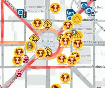Animais na pisa waze