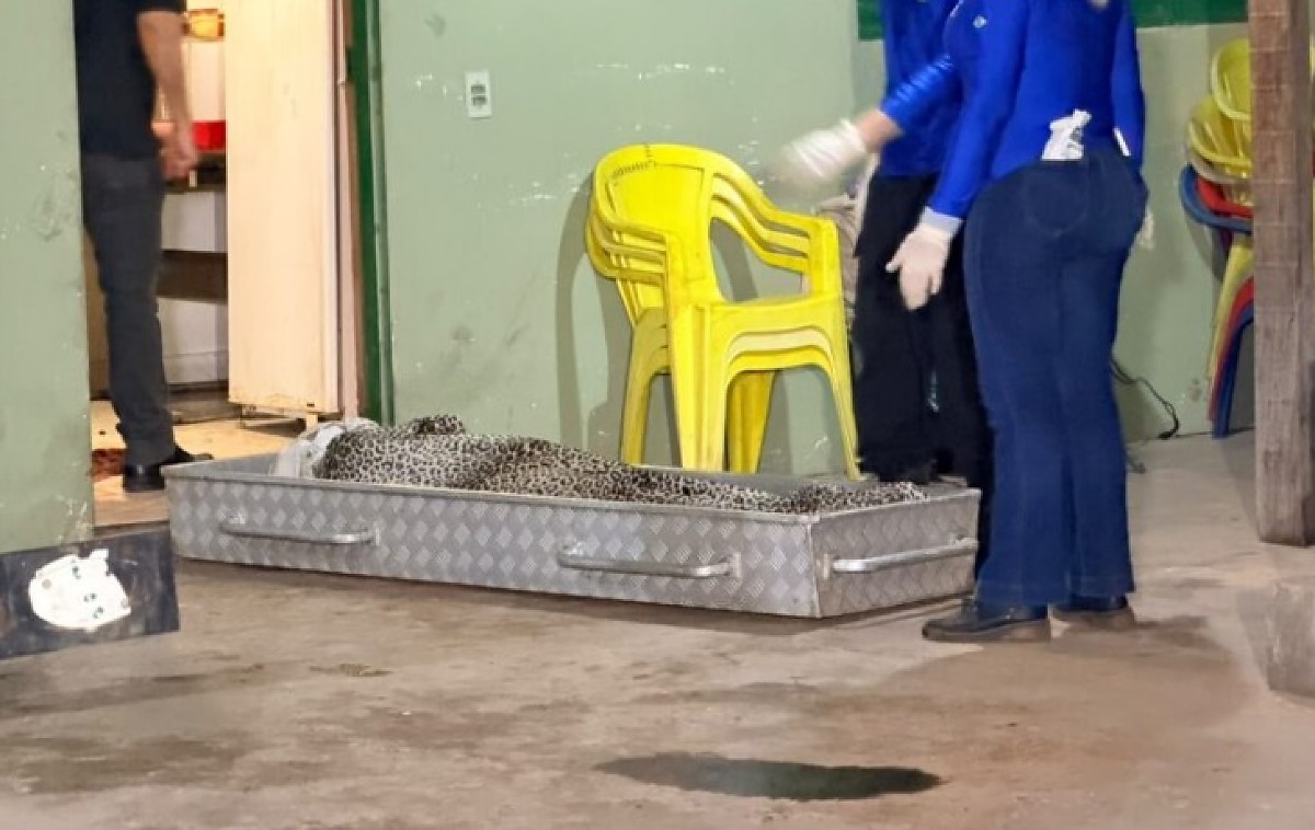 Homem é encontrado morto com marcas de faca em Cuiabá