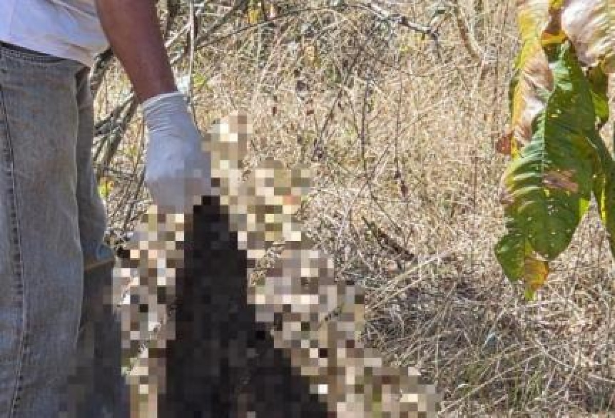 Ossada humana é localizada em zona rural de Várzea Grande, MT
